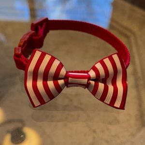 ❤️❤️ DOG COLLAR  SMALL SIZE ❤️❤️